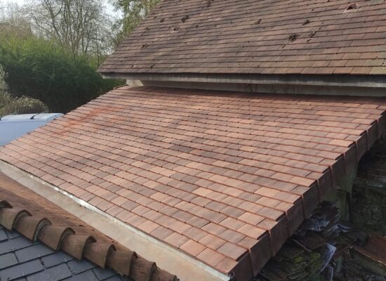 1d7fff6e-ab41-4e61-a3e5-1405a994ac9f